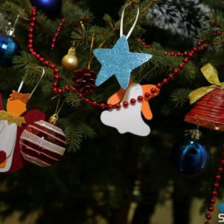 SUBOTICAcom 21Dec2016 Pravnifakultet 1145239